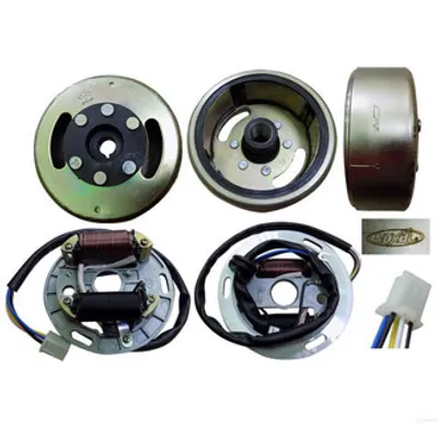Magneto con Platinera Completo-AX100-6V