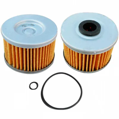 Filtro Aceite Honda TornadoXR250/Loncin-LX300