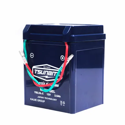 Batería 6V YB2.5L-BS Ax100